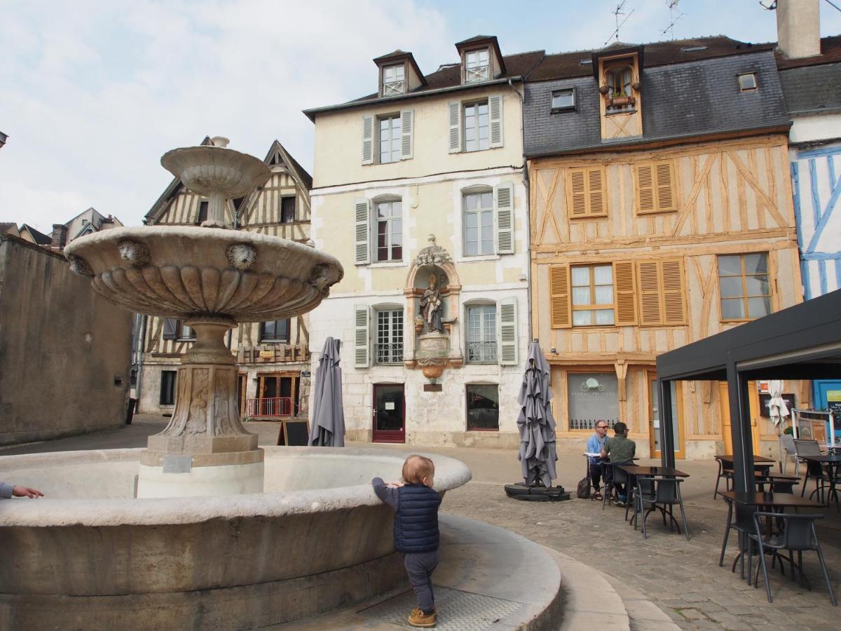 Le Mont Brenn Lejlighed Auxerre Eksteriør billede